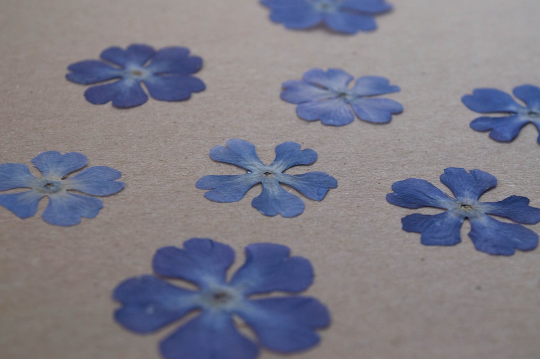 Crafting On a Budget: Creative DIY Projects That Won’t Break the Bank